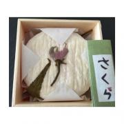 新商品のご案内